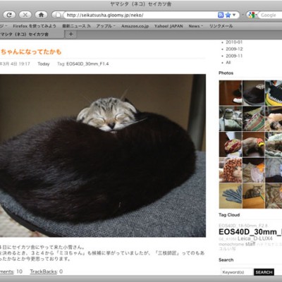 ぬこ