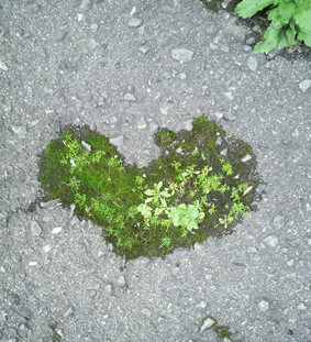 green_heart 思わず携帯でパシャり☆